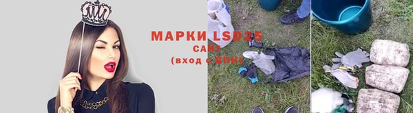 прущие грибы Баксан